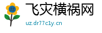 飞灾横祸网
